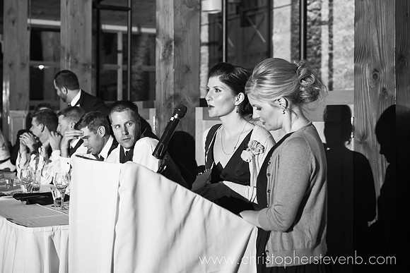 bridesmaids giving speech at wedding