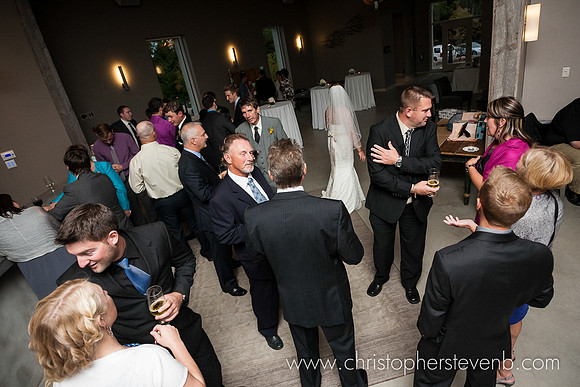 wide photo of Le Belvedere wedding guests during cocktails