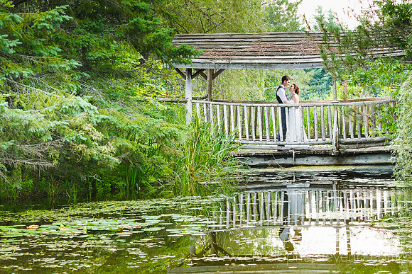 romantic nature photo with trees and bridge at Saunder's Farm